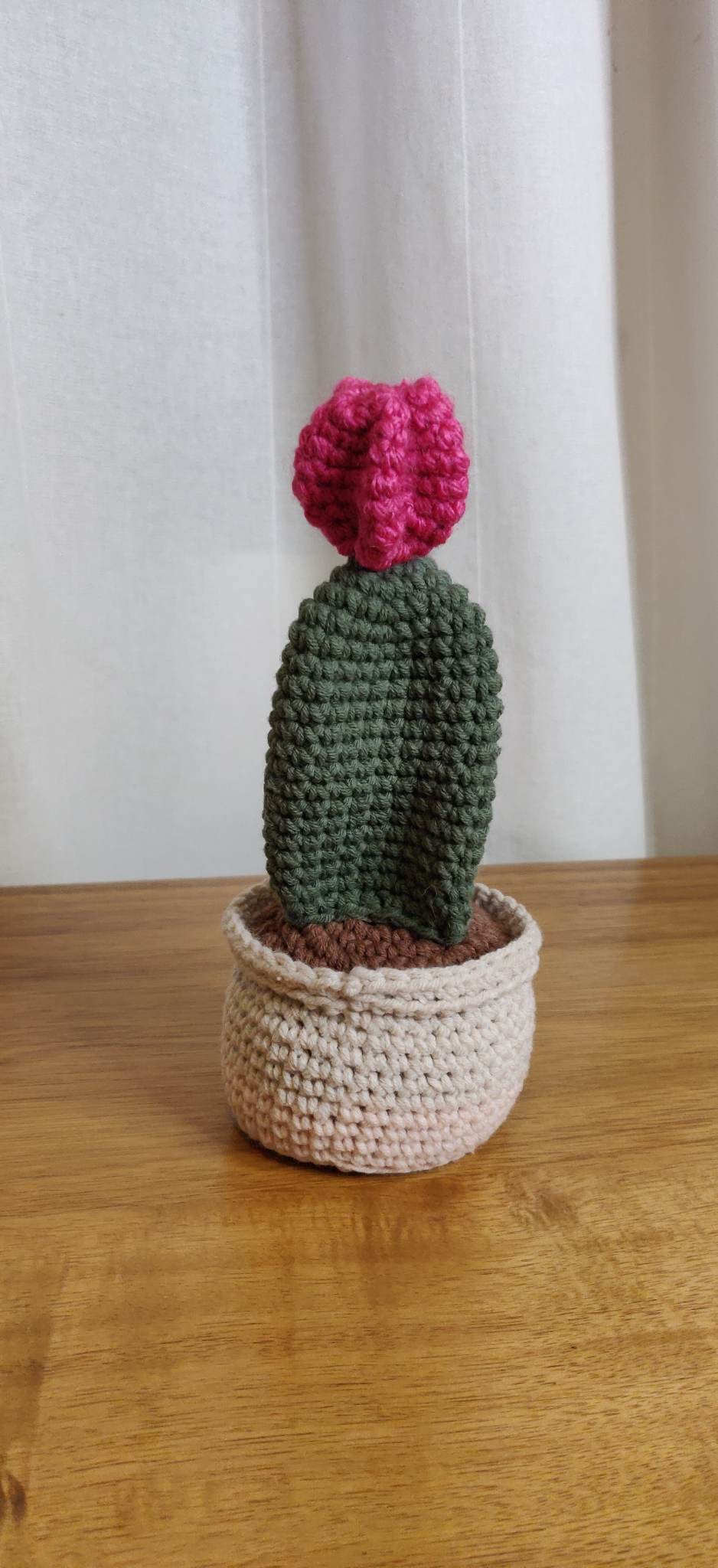 Moon ball cactus