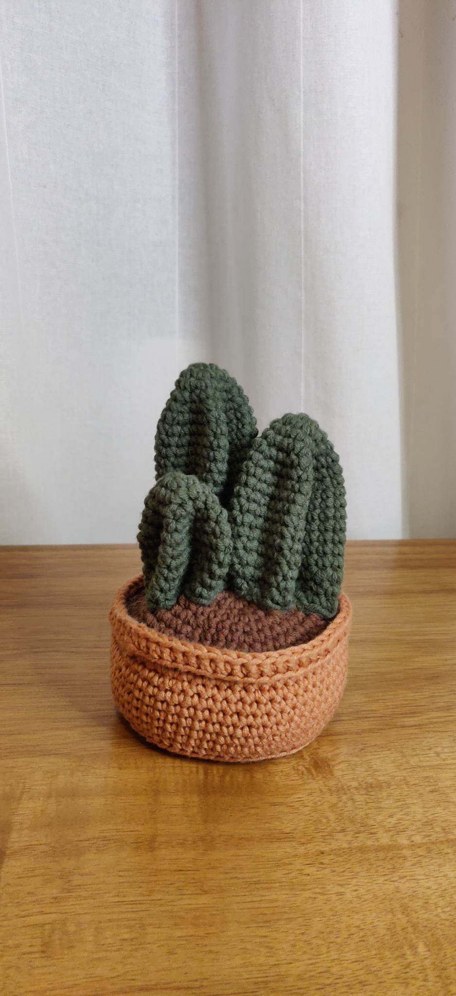 Cactus trio