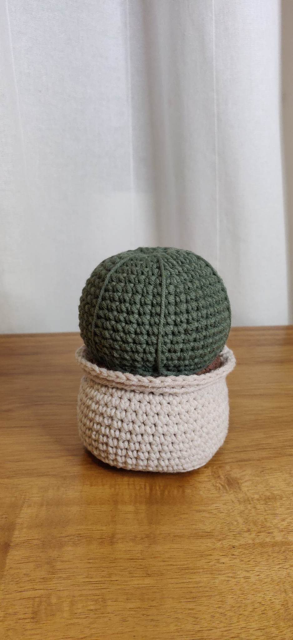 Sand dollar cactus