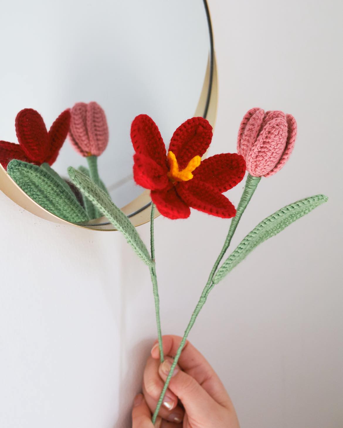 Tulips (open)