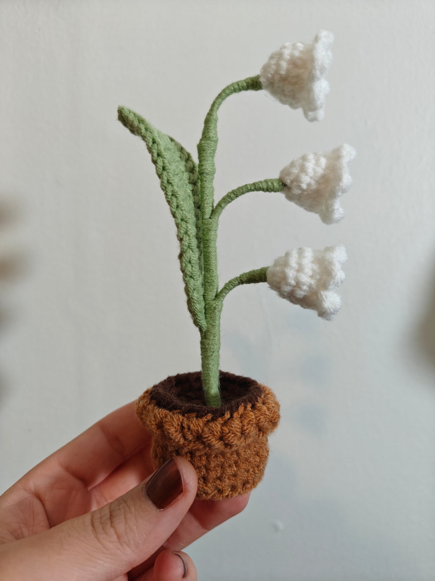 Flower in a pot