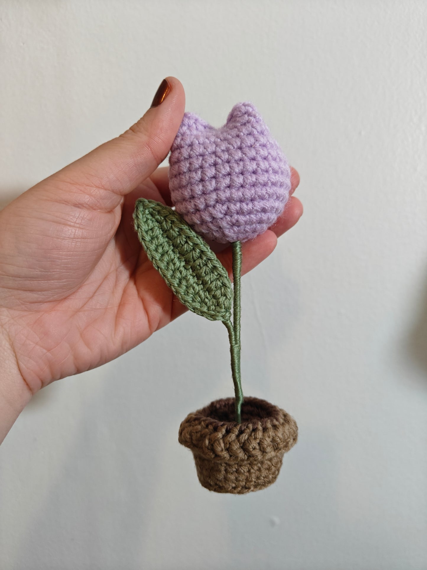 Flower in a pot
