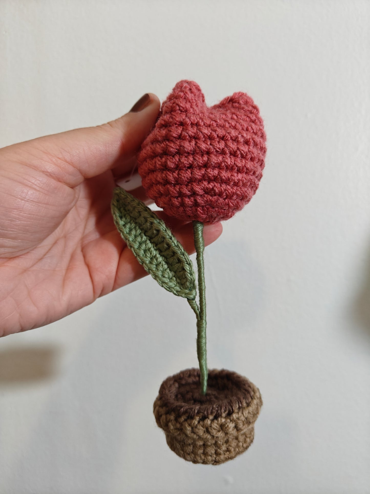 Flower in a pot