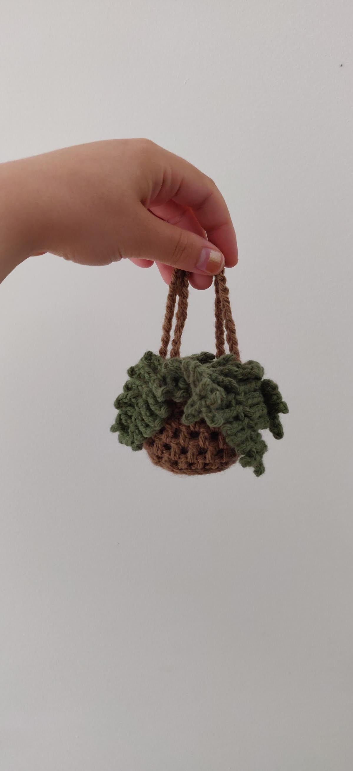 Suspended fern plant