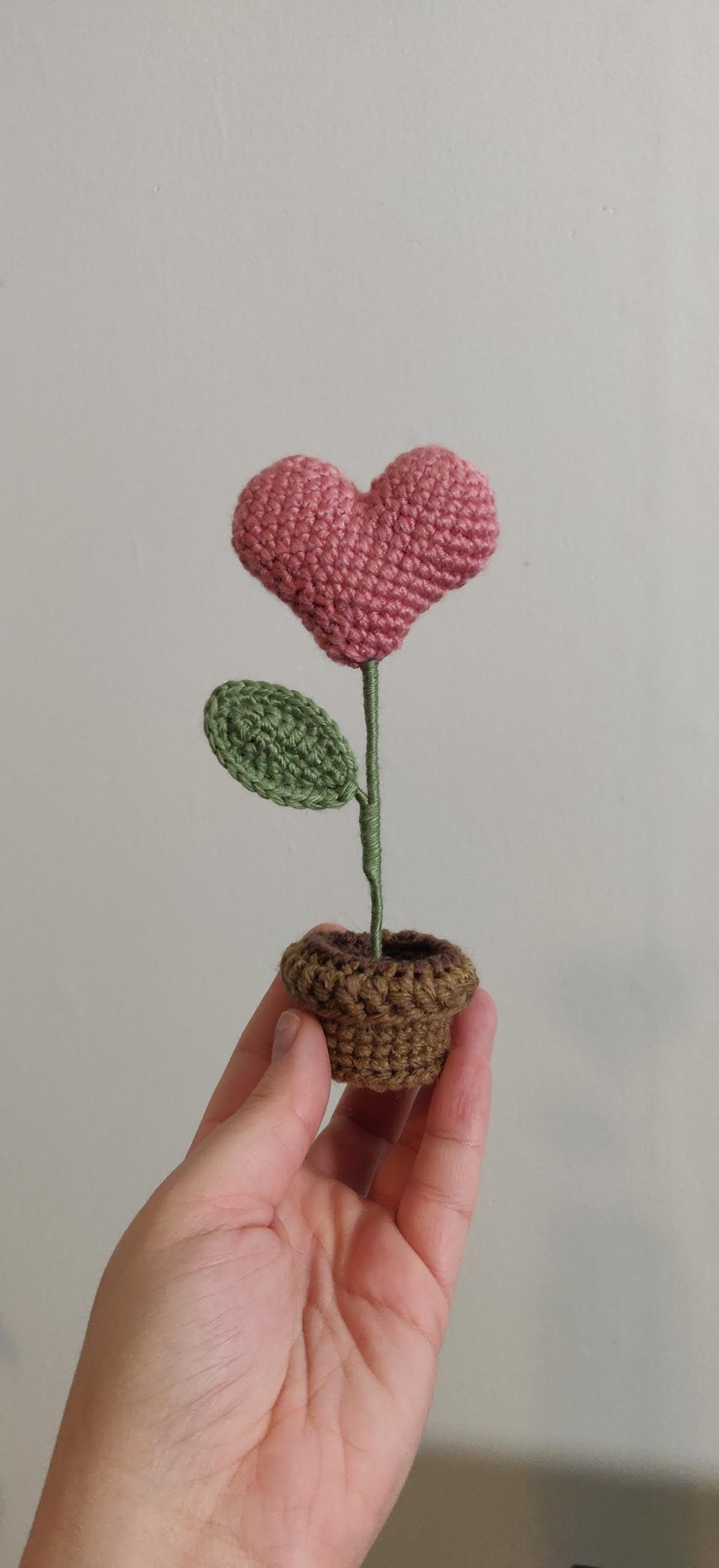 Flower in a pot