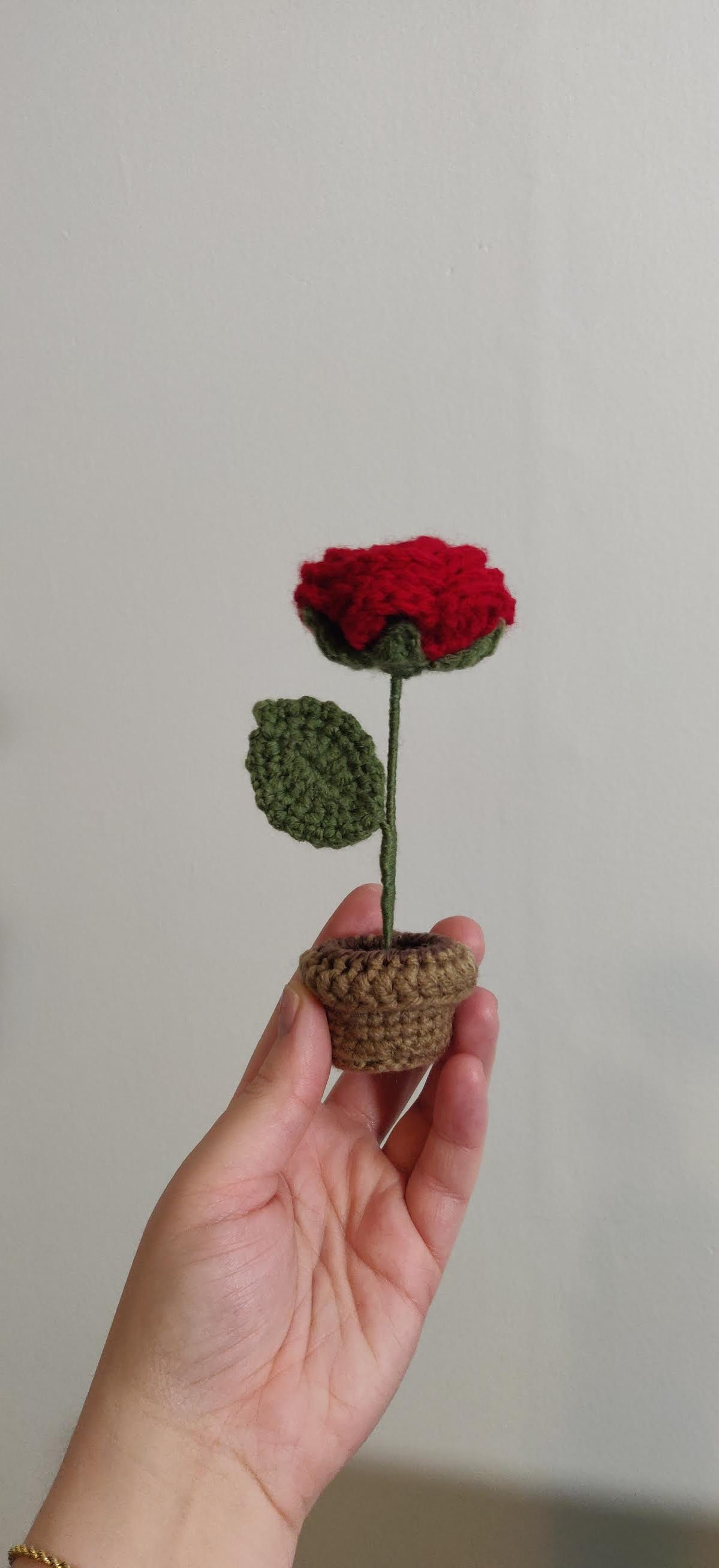 Flower in a pot