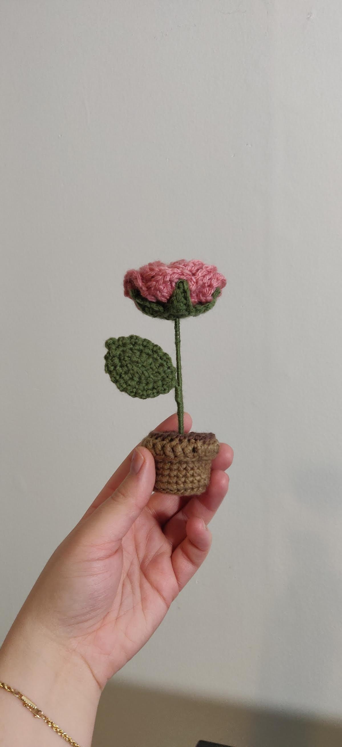 Flower in a pot