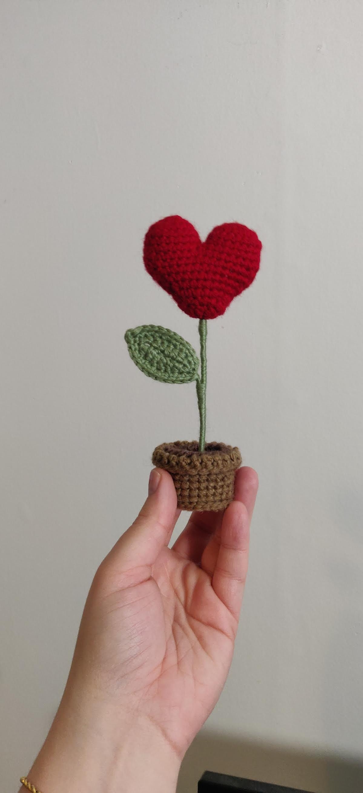 Flower in a pot