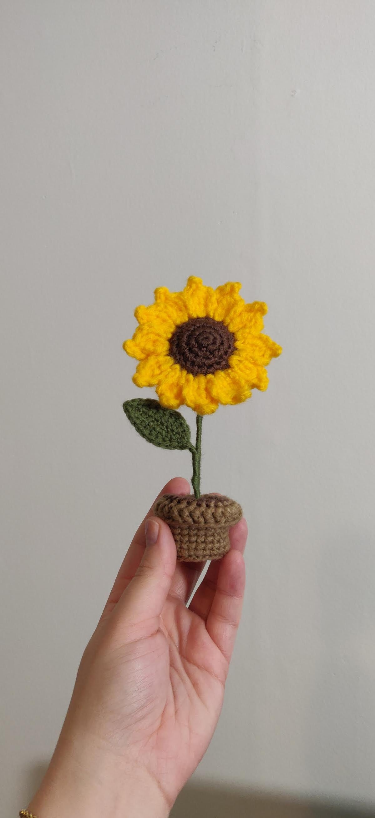 Flower in a pot