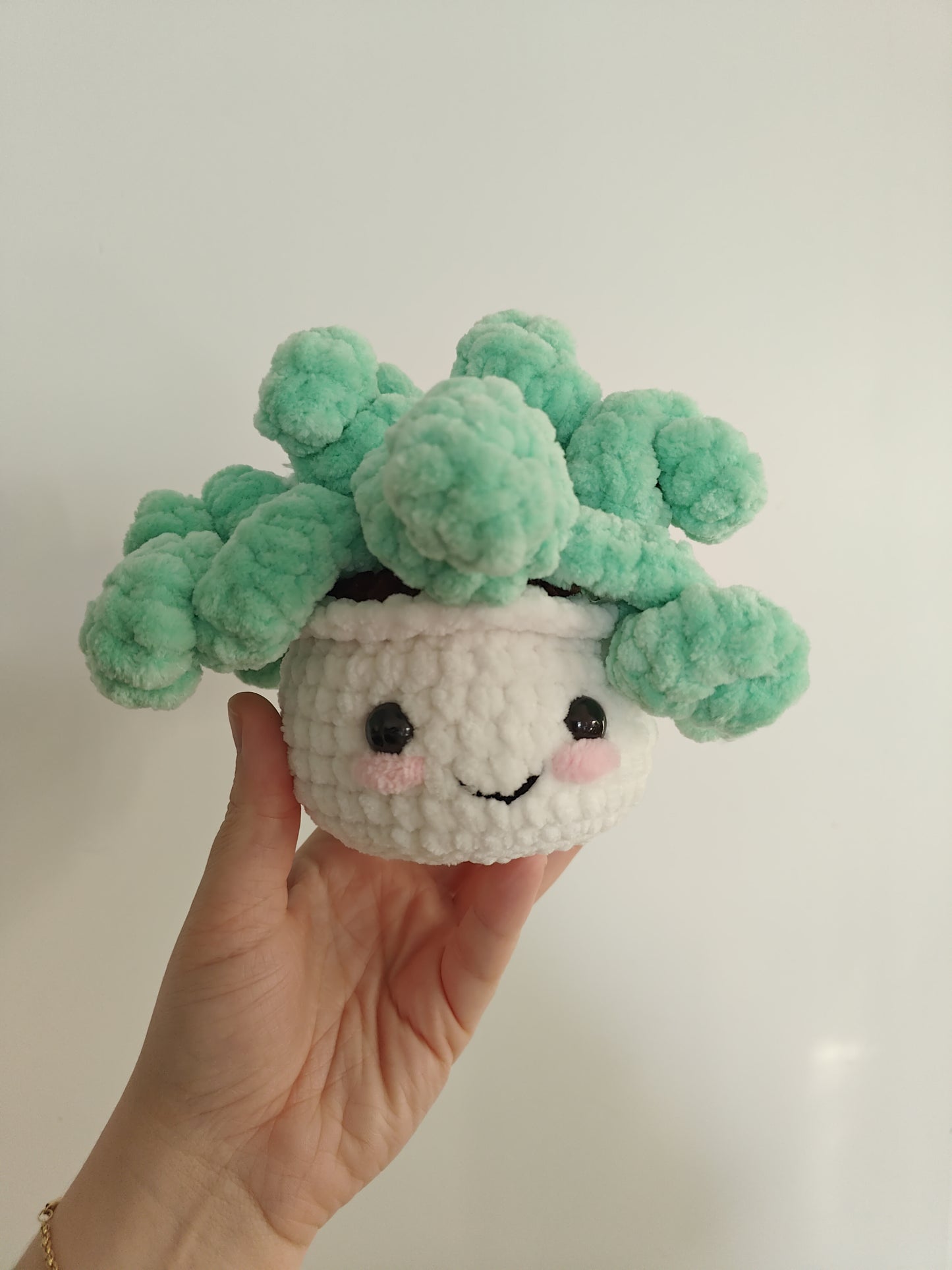 Poppy the houseplant