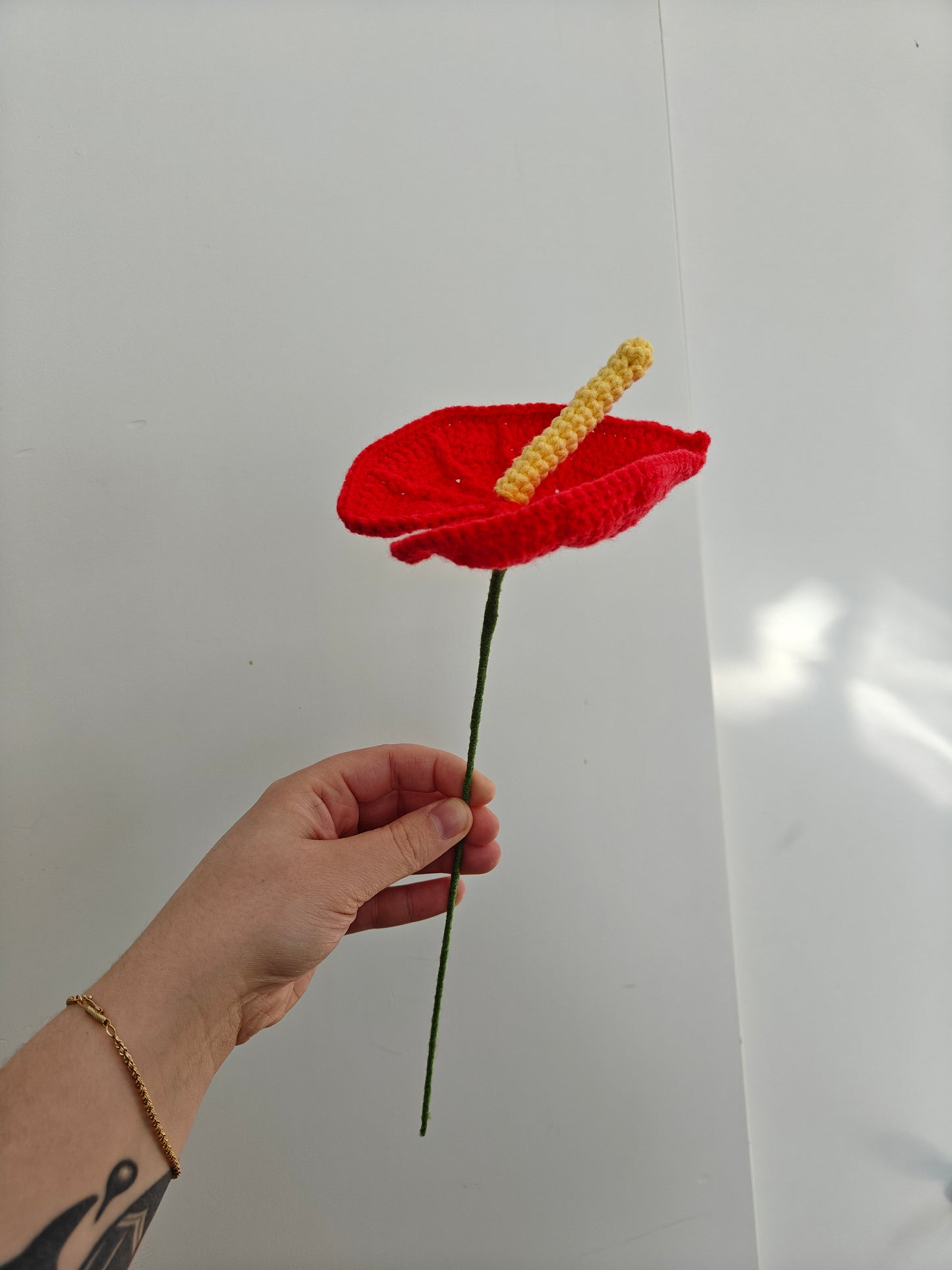 Anthurium leaf