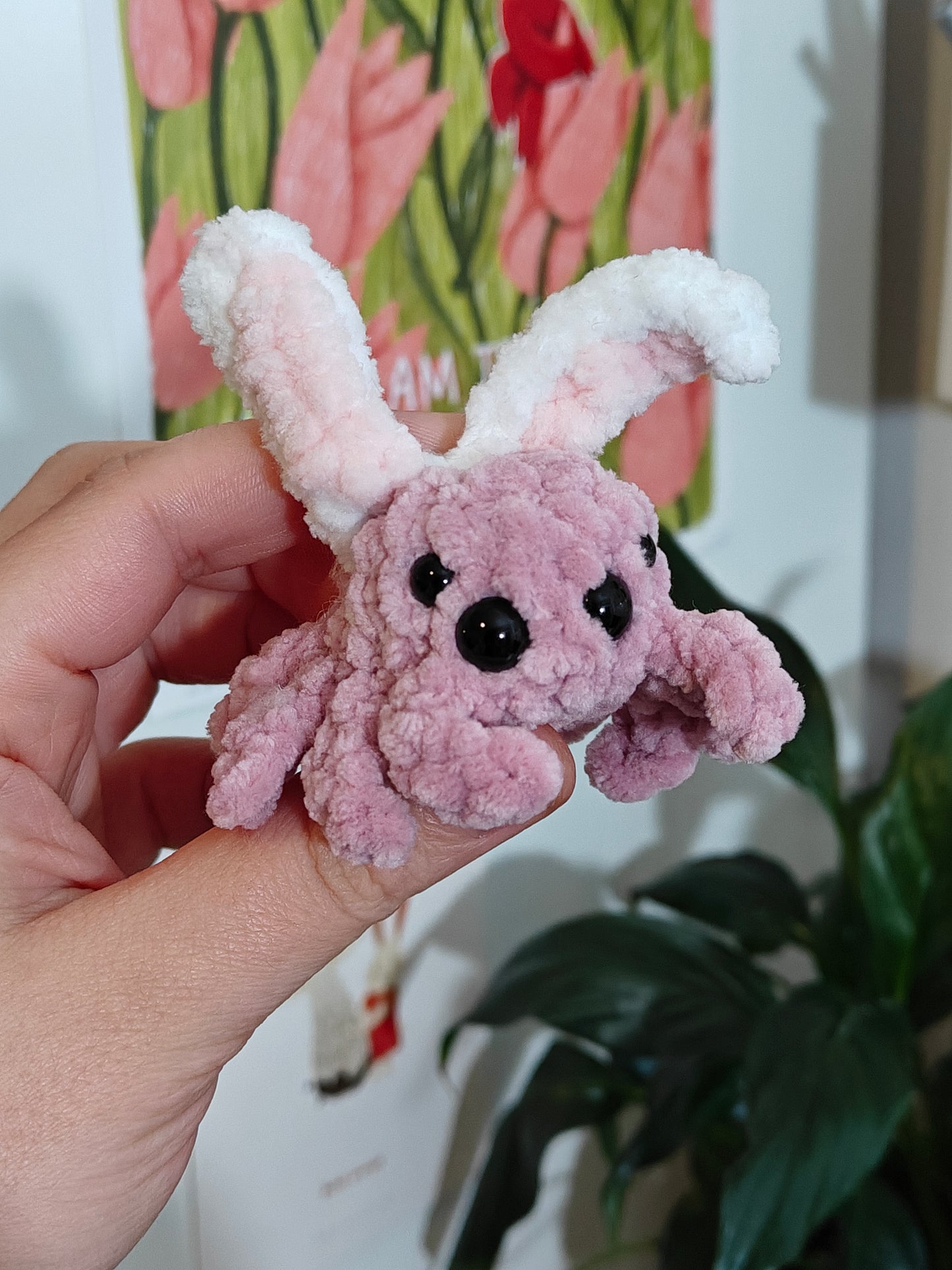 Easter Spider