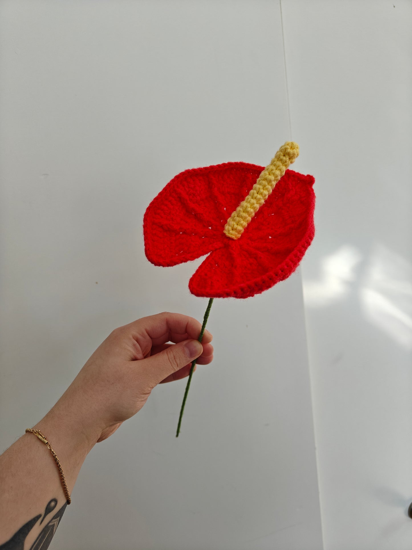 Anthurium leaf