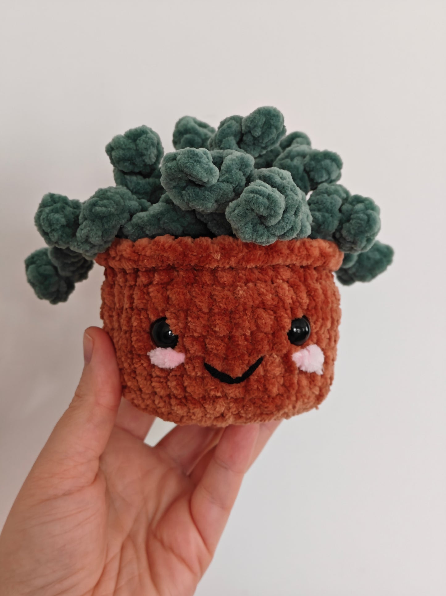 Poppy the houseplant