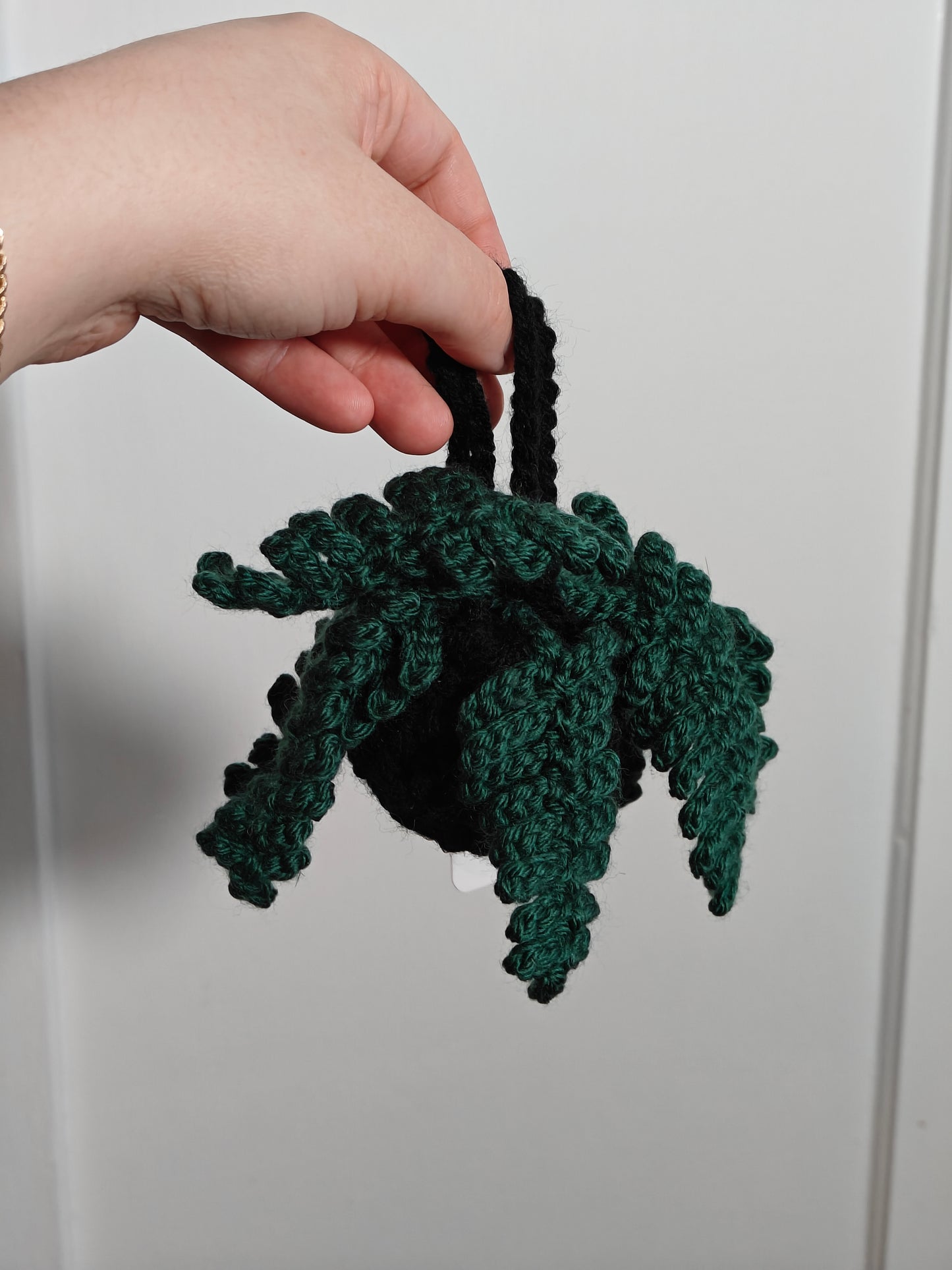 Suspended fern plant