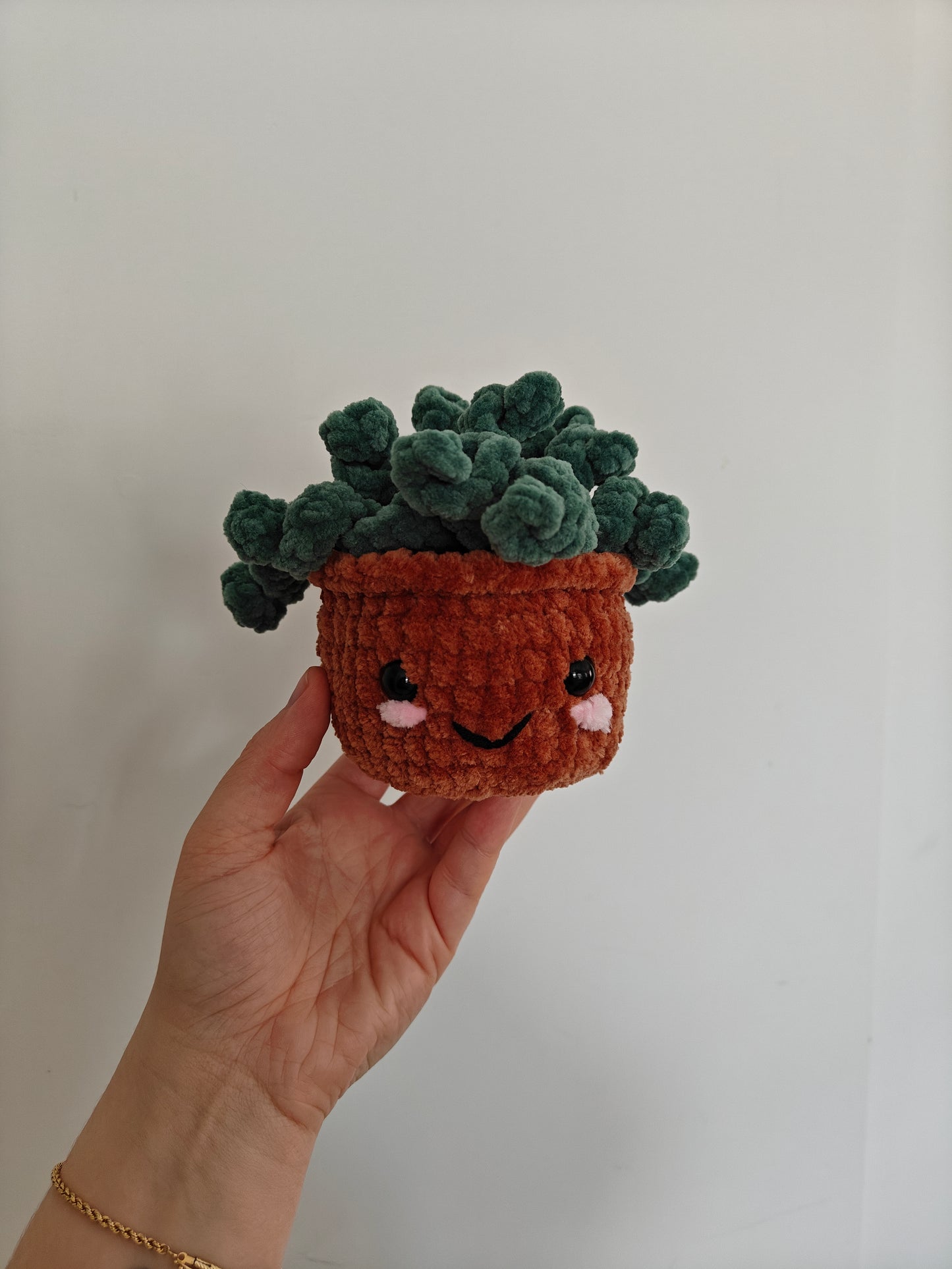 Poppy the houseplant