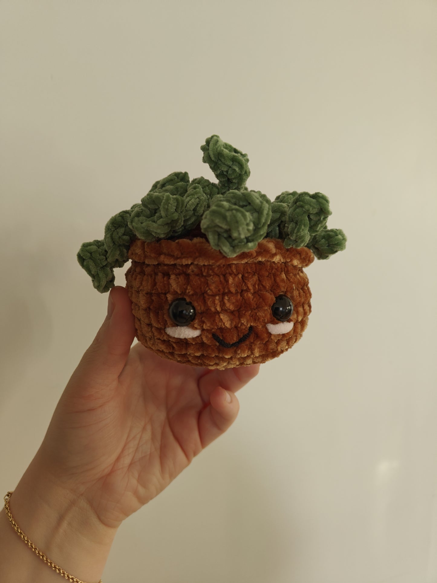 Poppy the houseplant