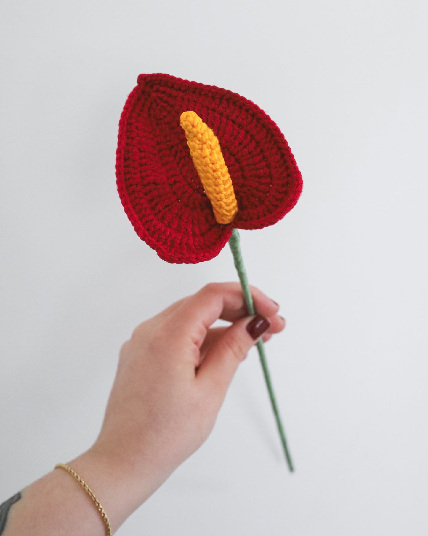 Anthurium leaf