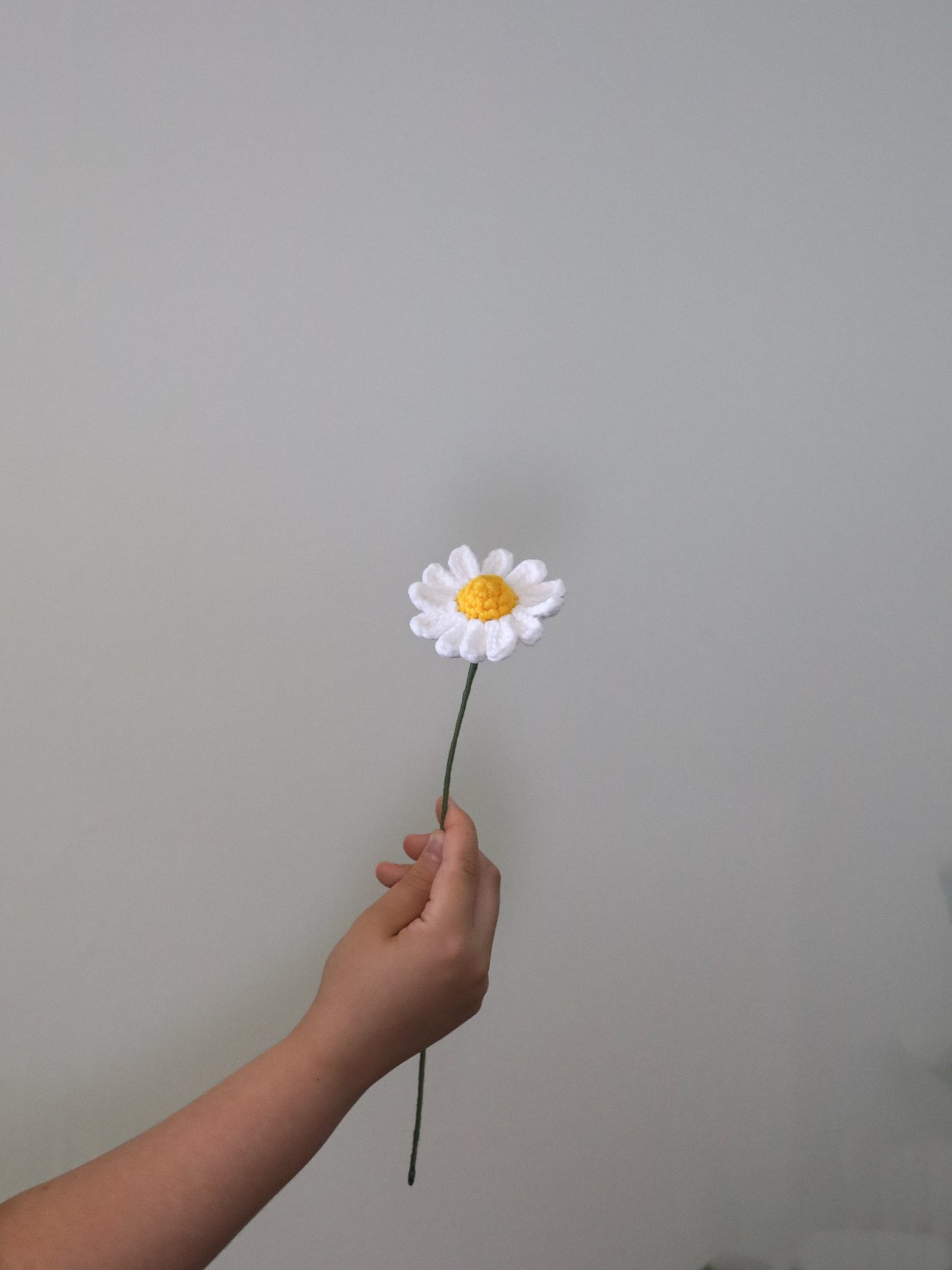 Daisy (long petals)
