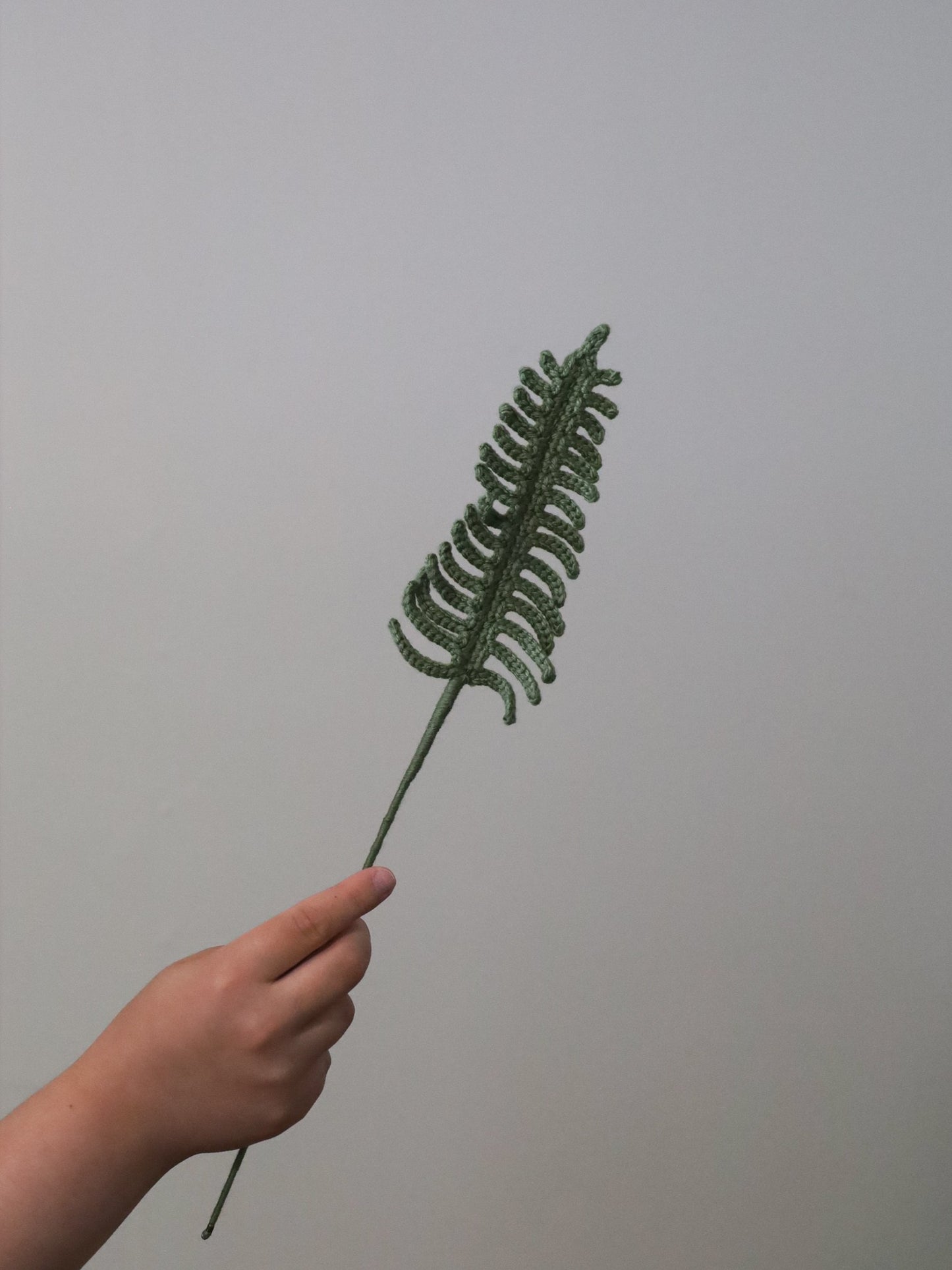 Fern leaf