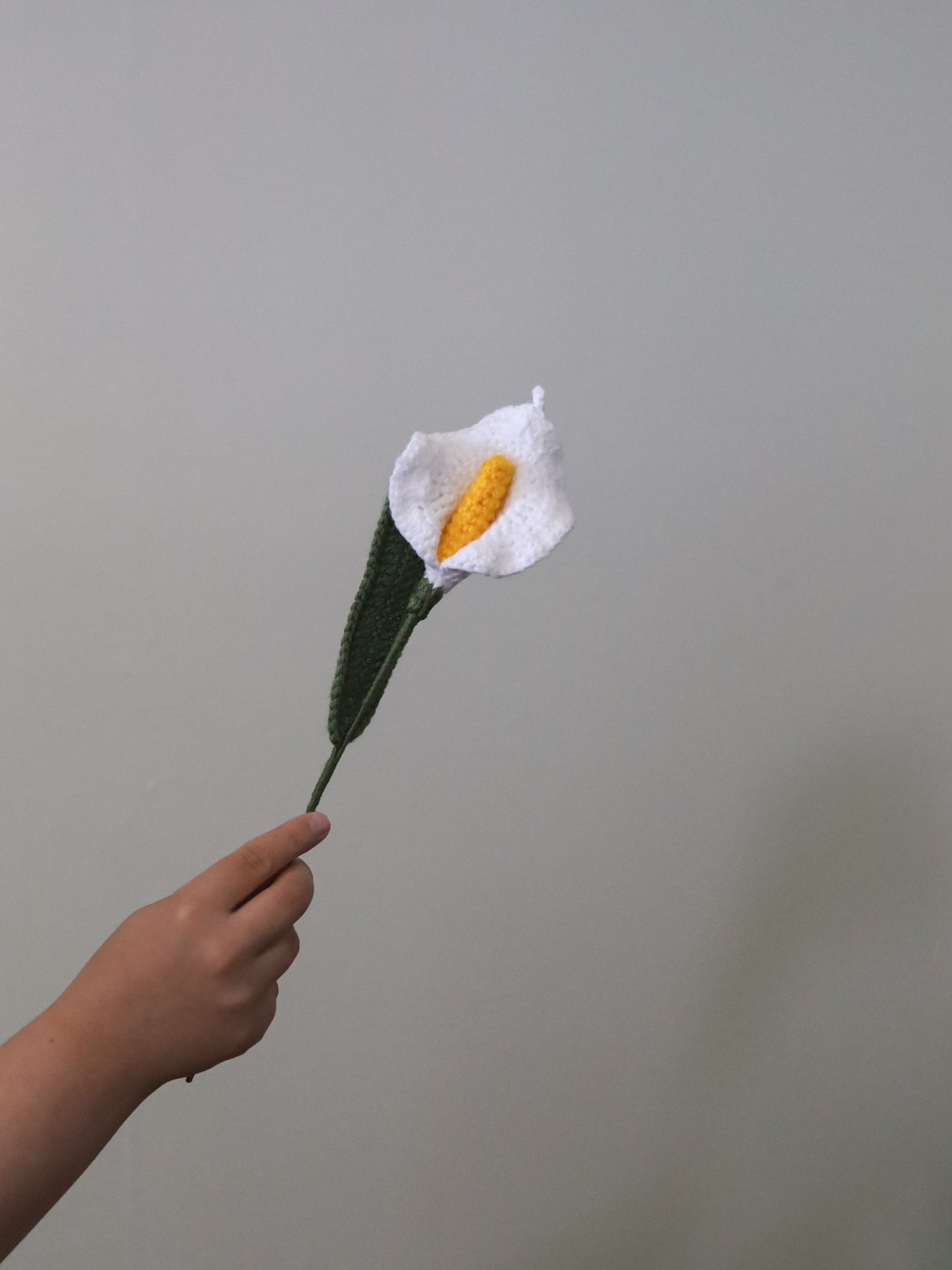 Peace Lily