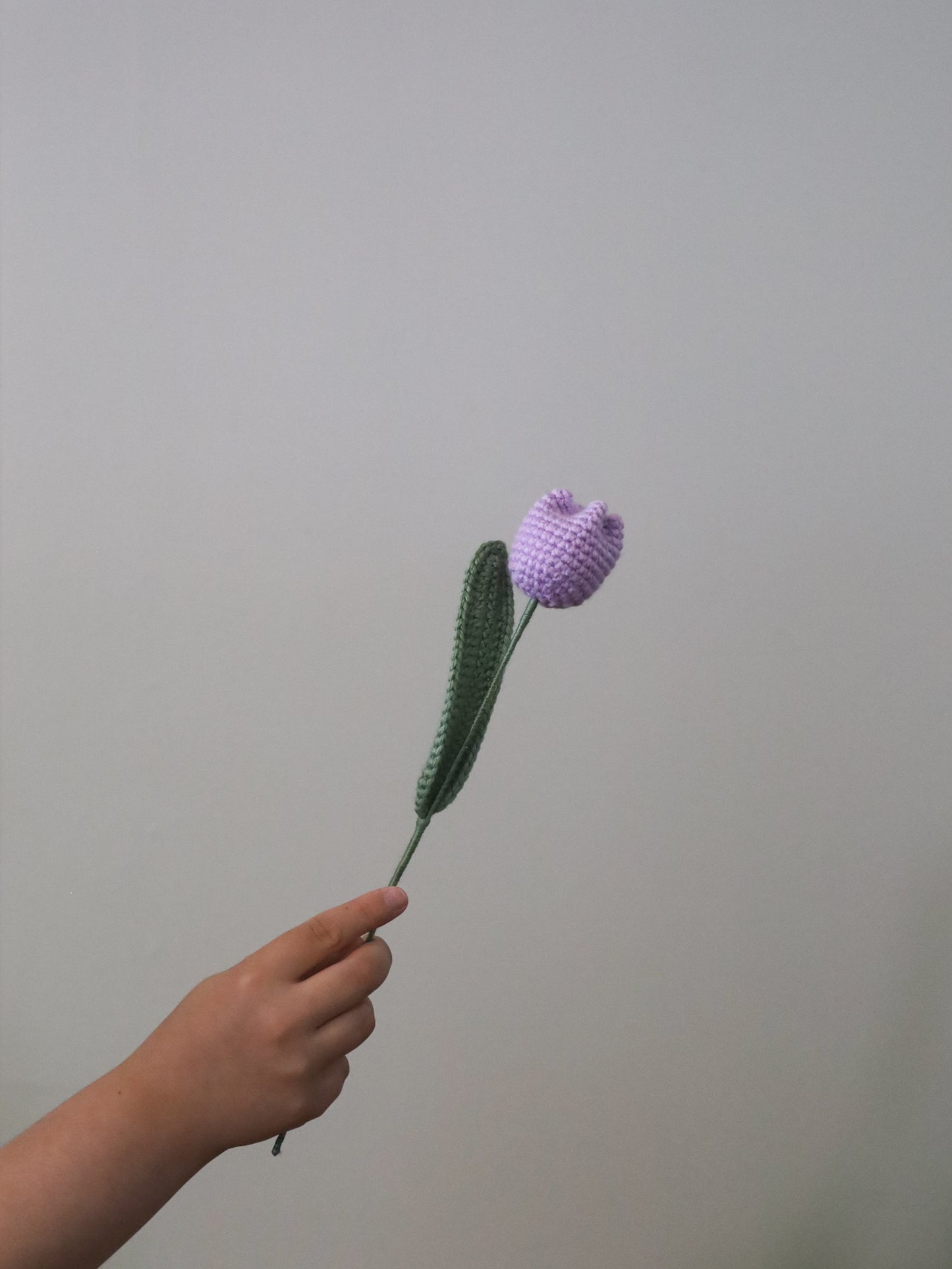 Tulip