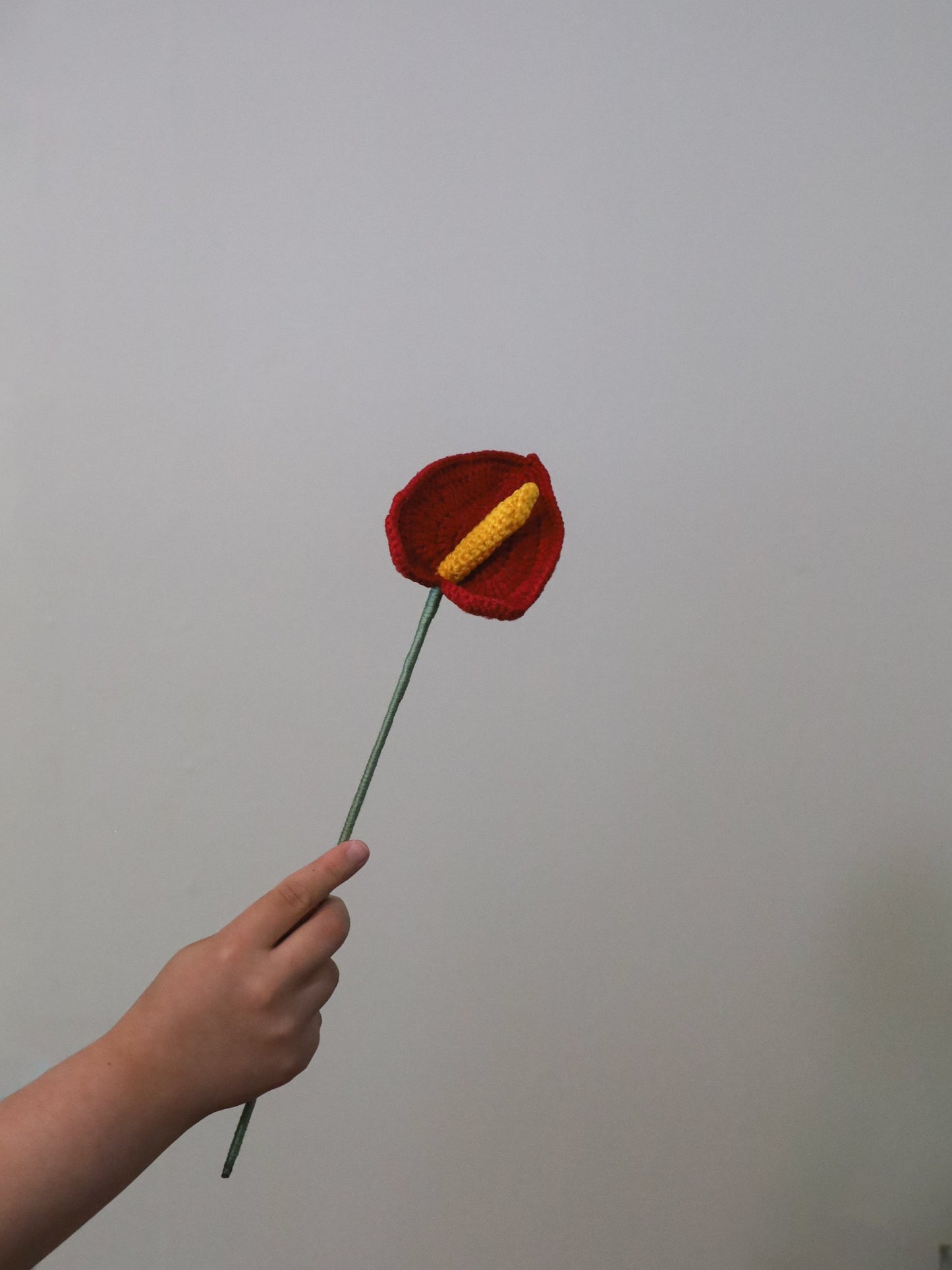 Anthurium leaf