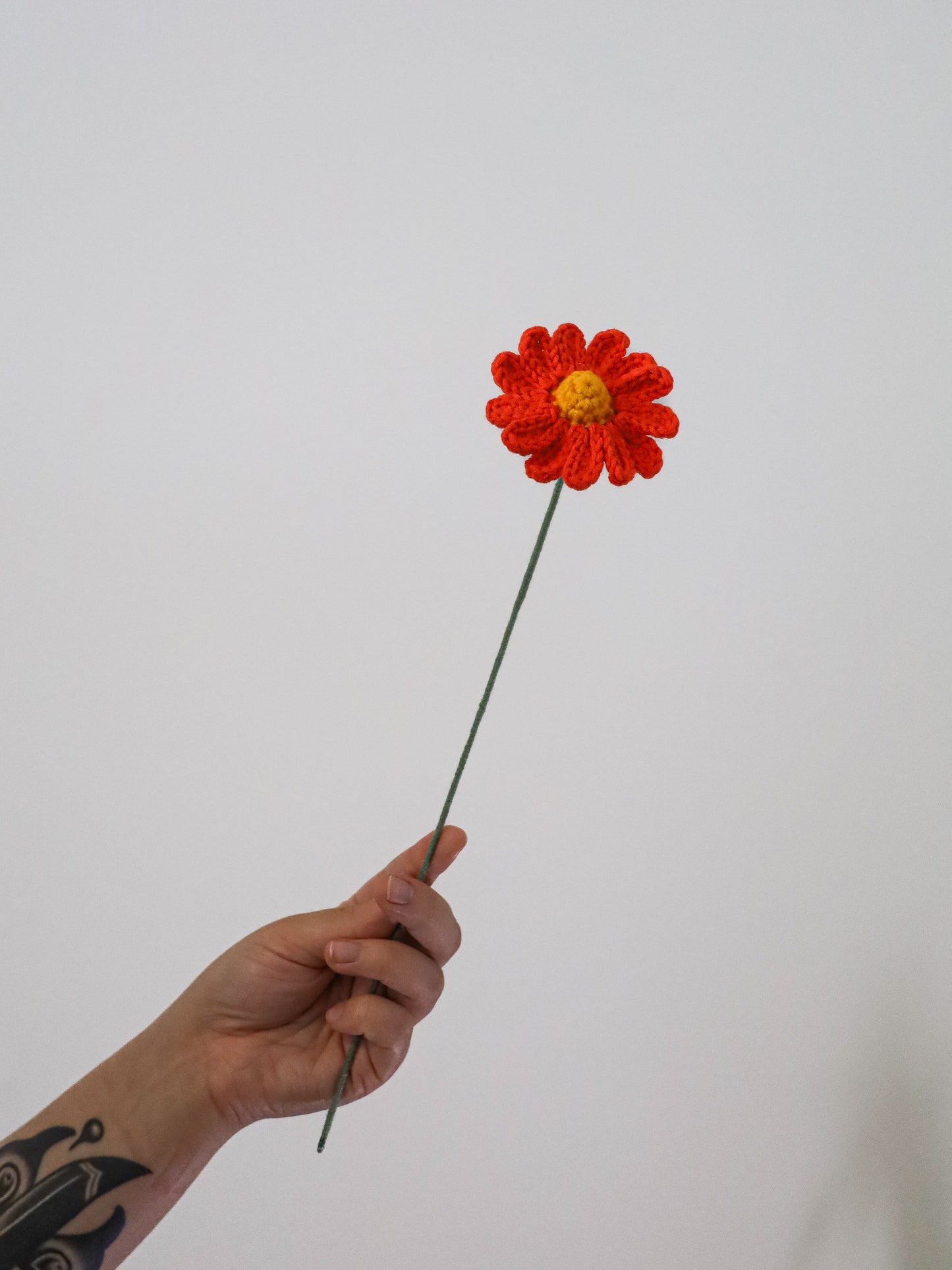 Daisy (long petals)