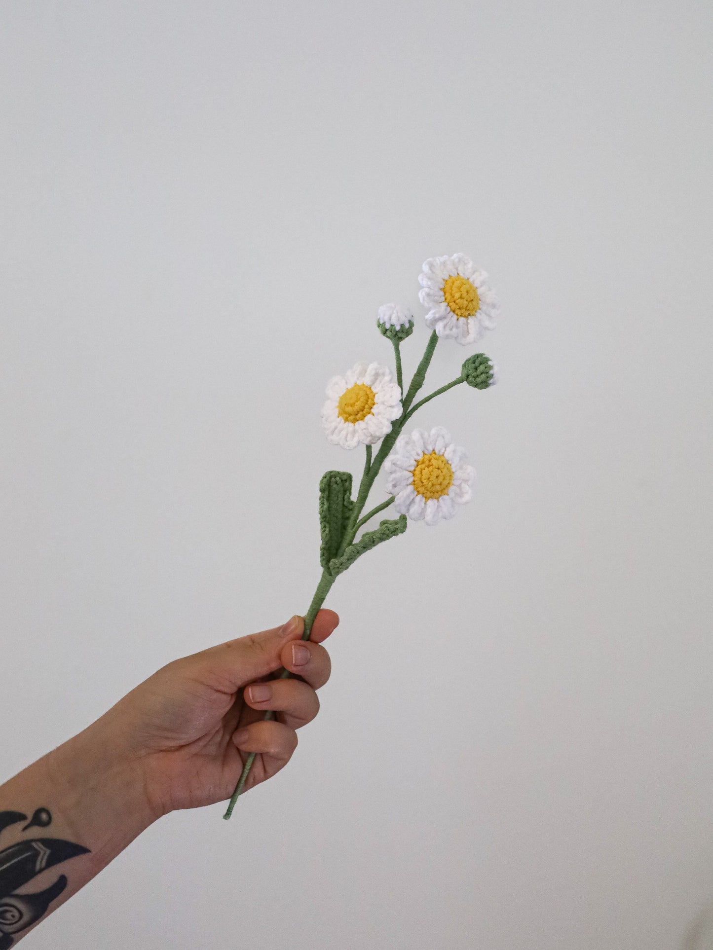 Triple daisy with bud