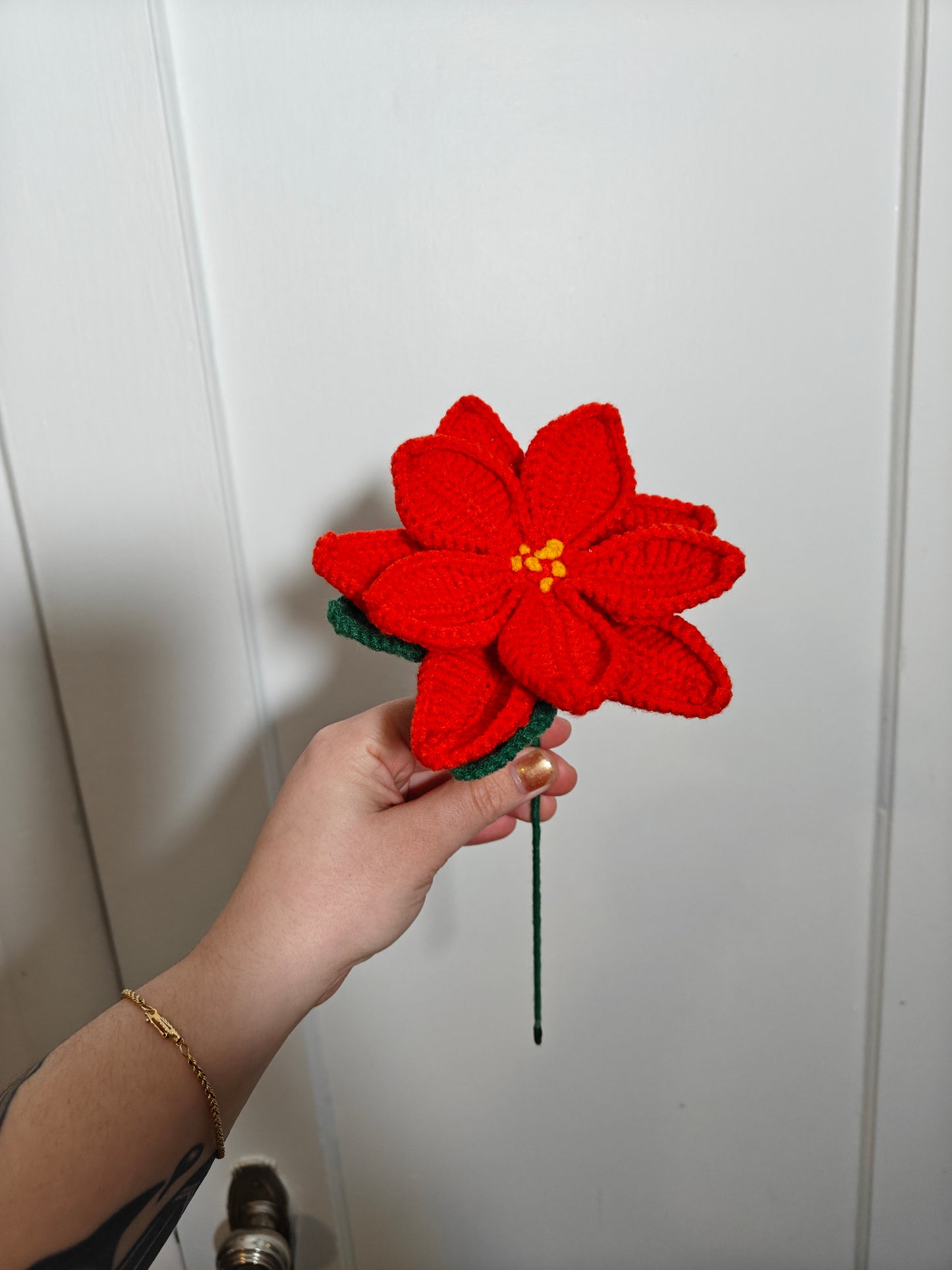Poinsettia flower