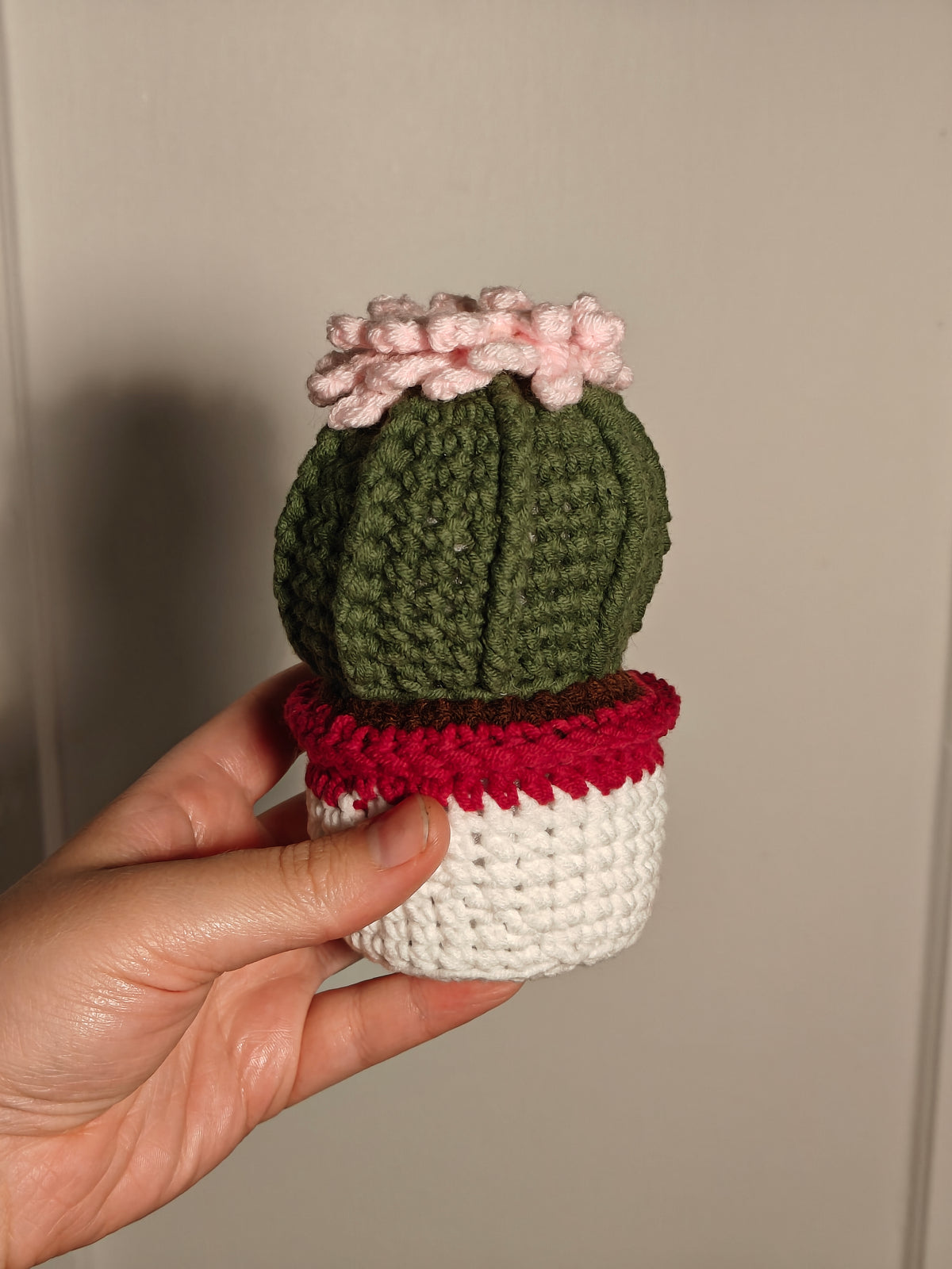 Cactus fleur dans un pot