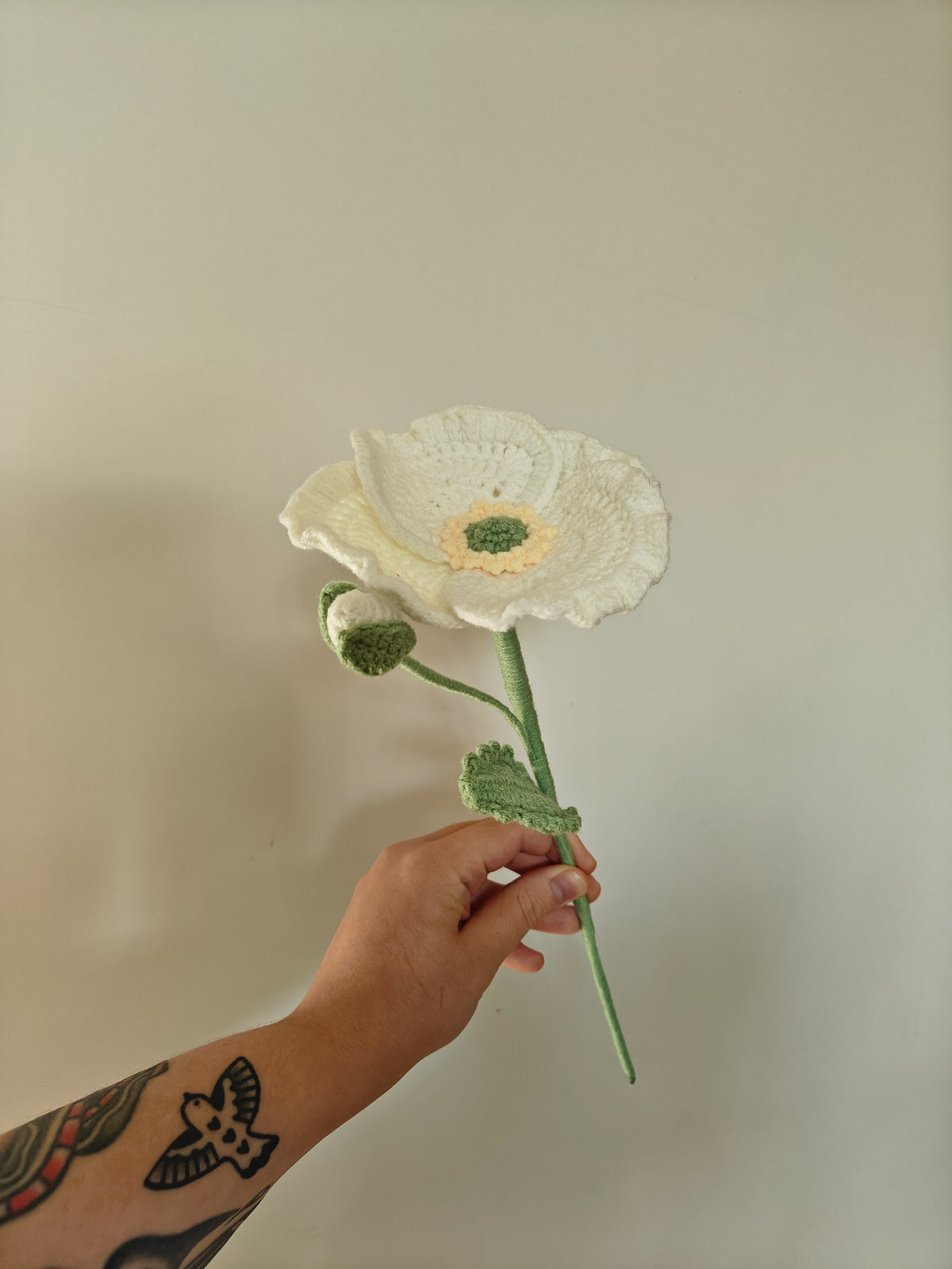 Poppy (big)
