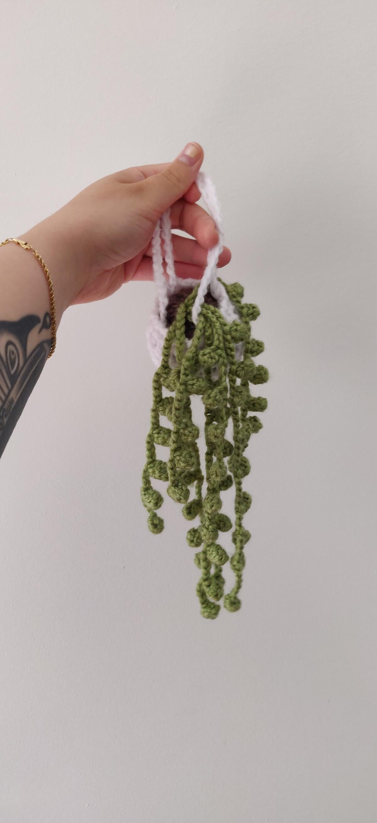 Suspended string of pearl plant