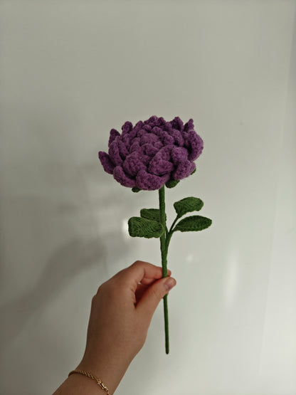 Dahlia