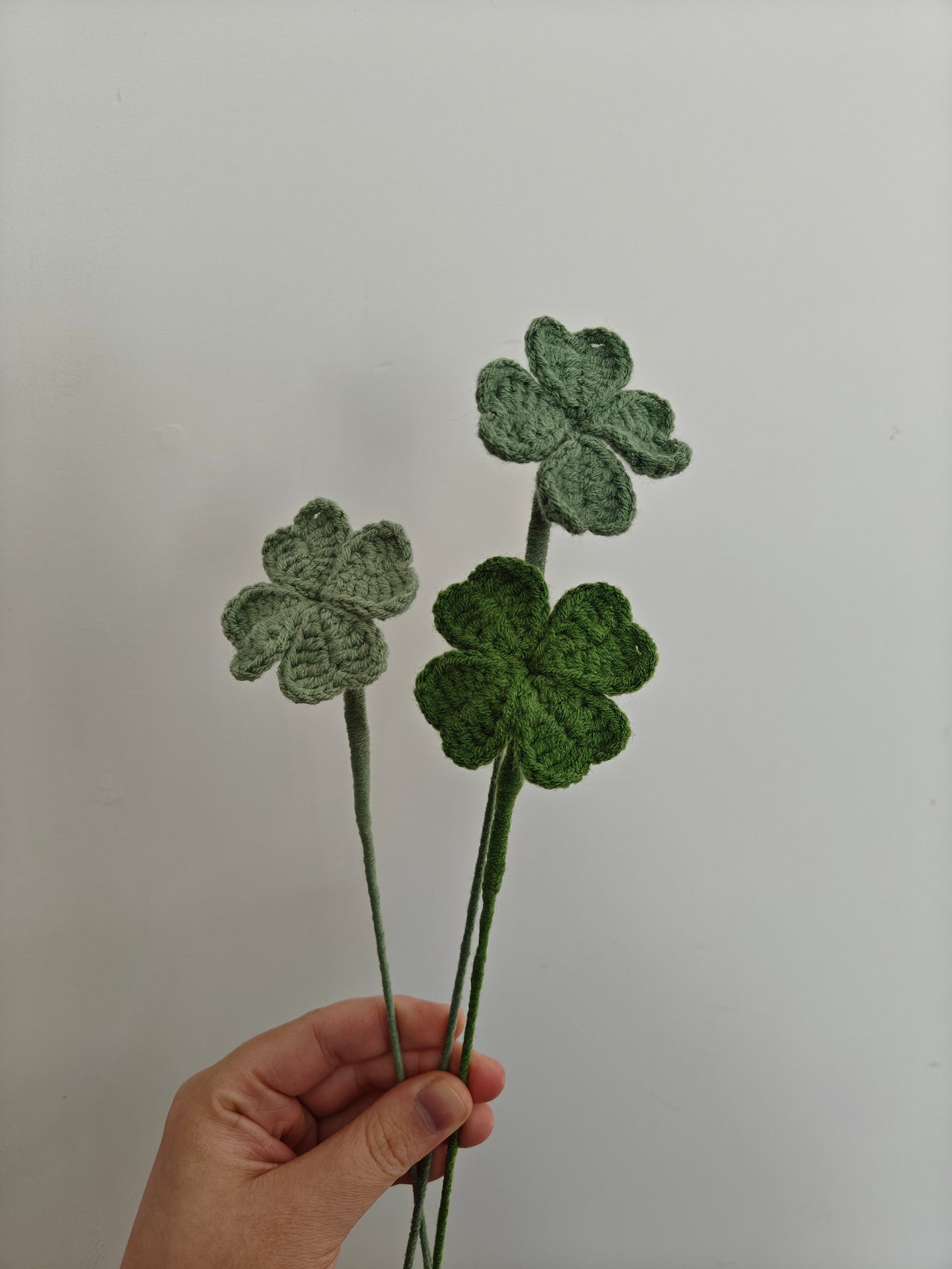 Four leaf clover
