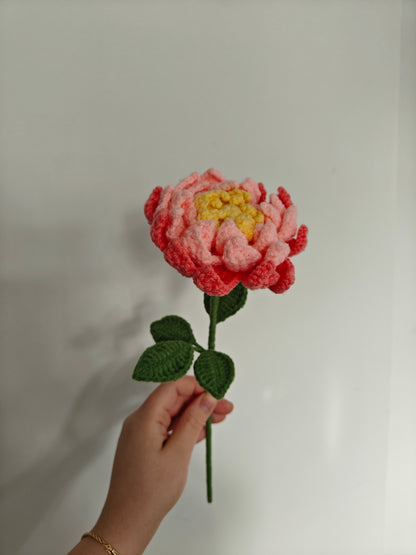 Dahlia
