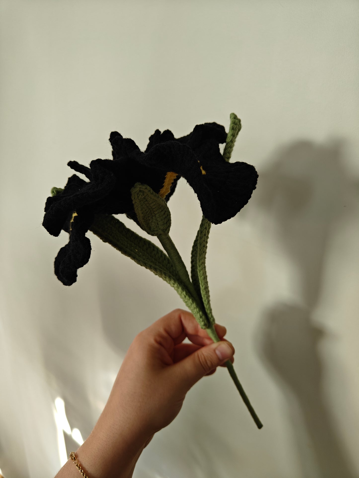 Iris