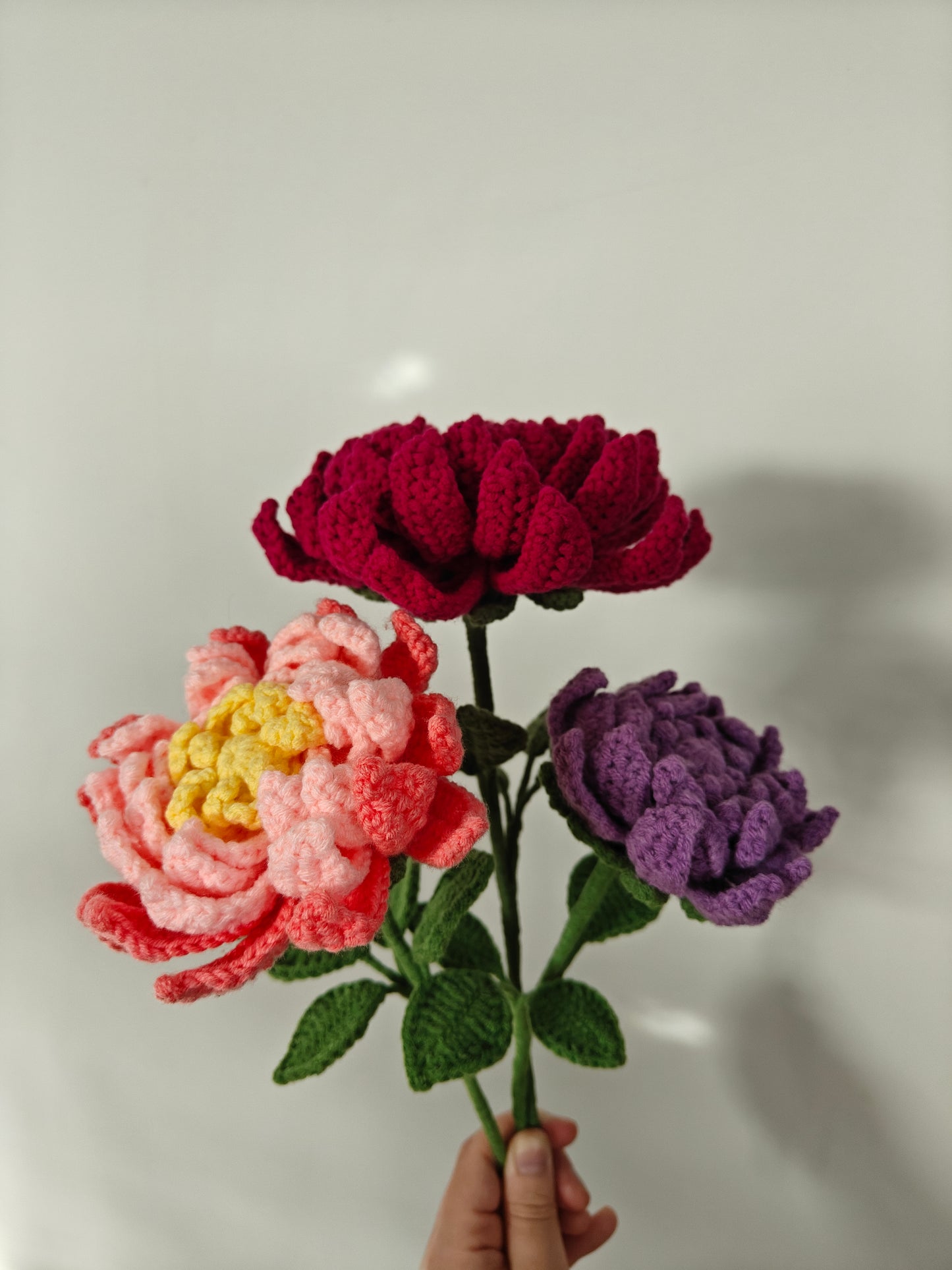 Dahlia