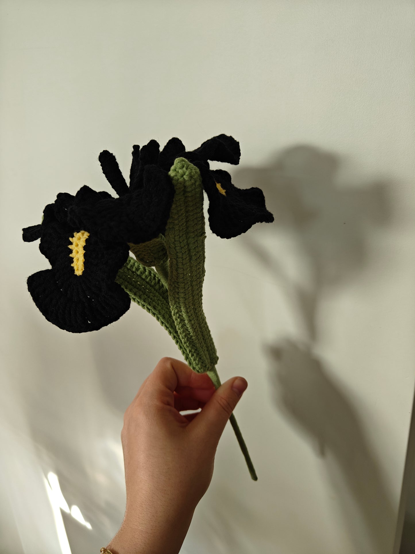 Iris