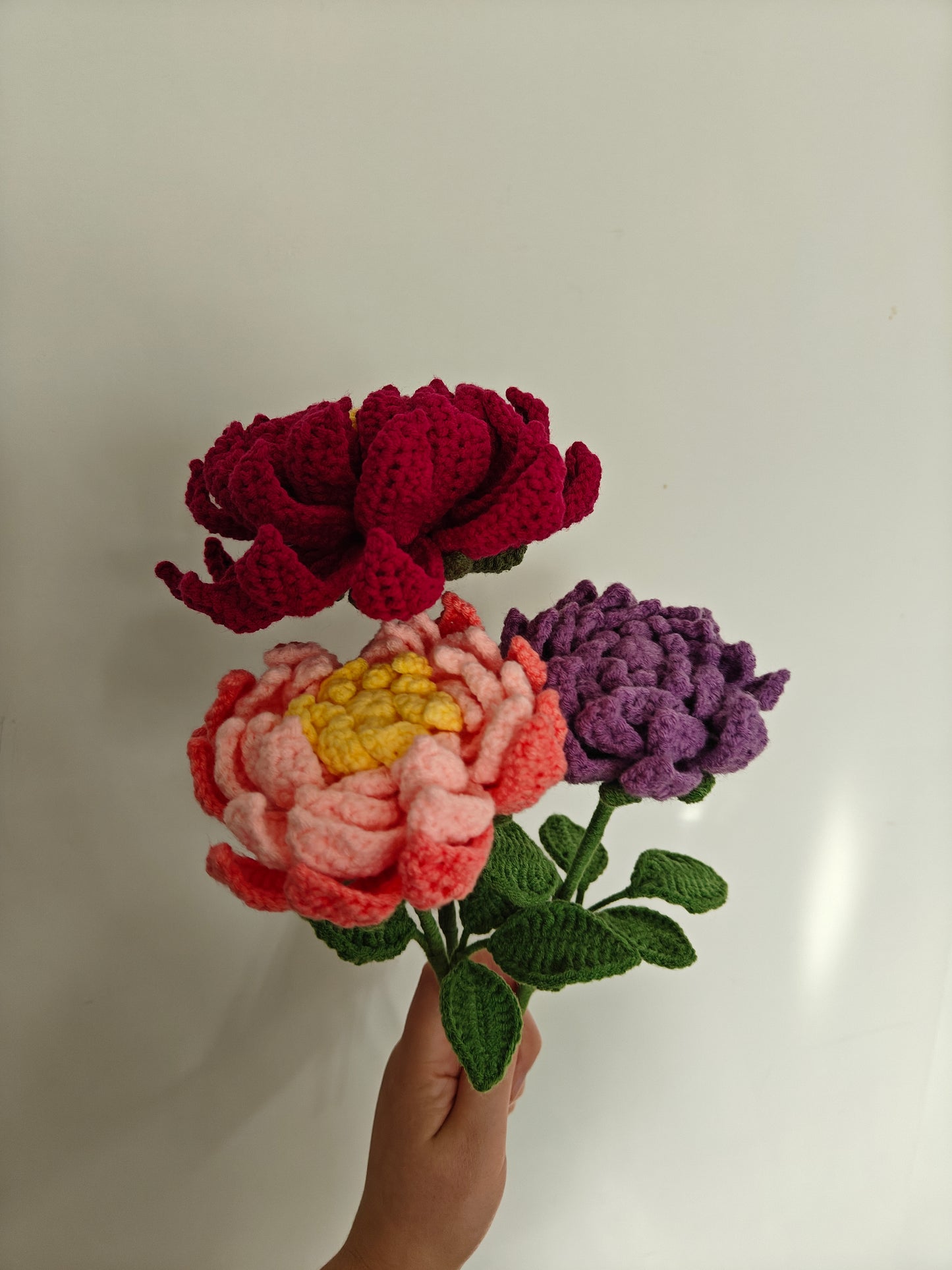 Dahlia