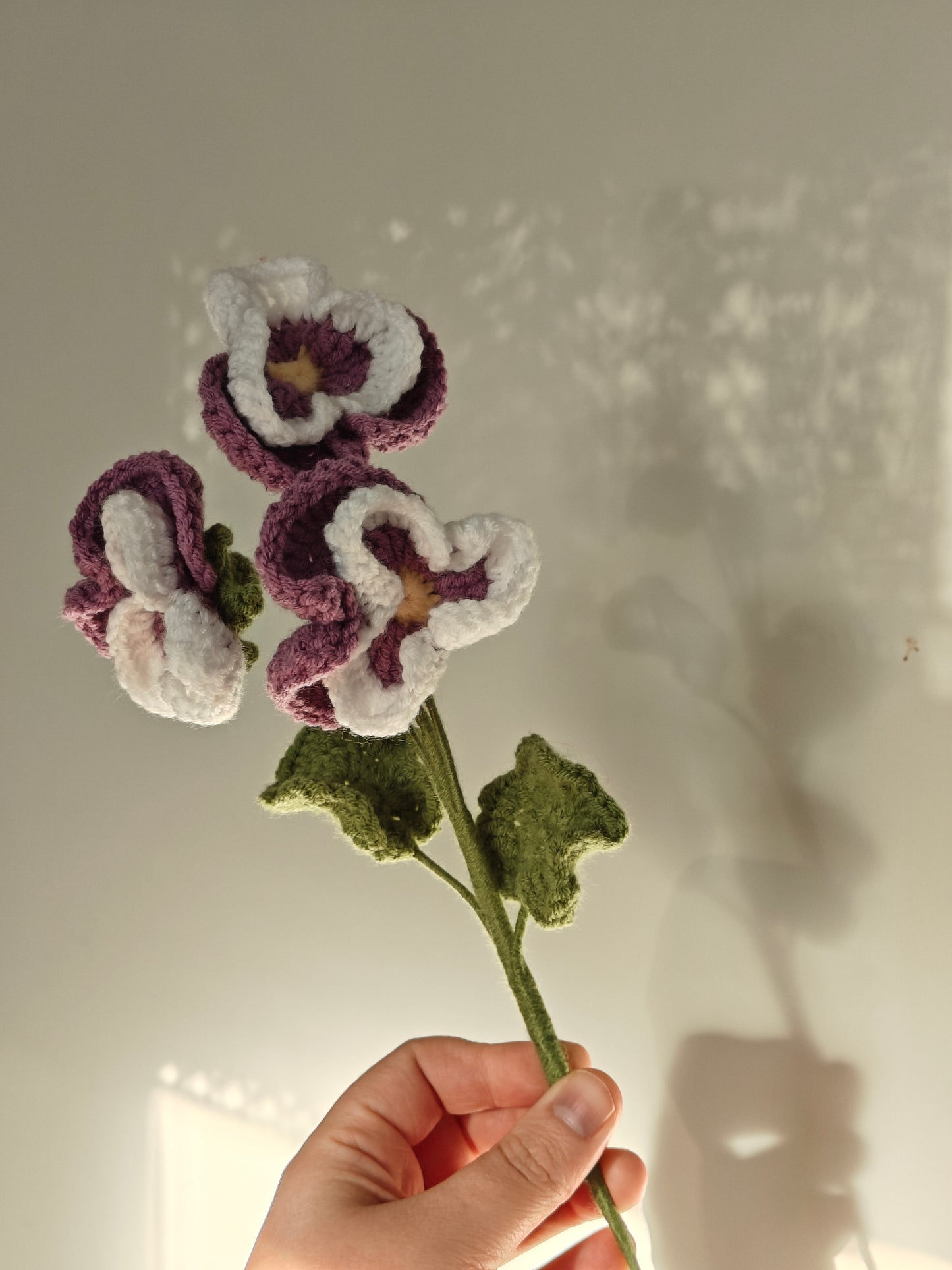 Pansies