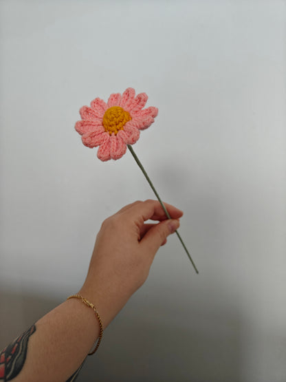 Daisy (long petals)