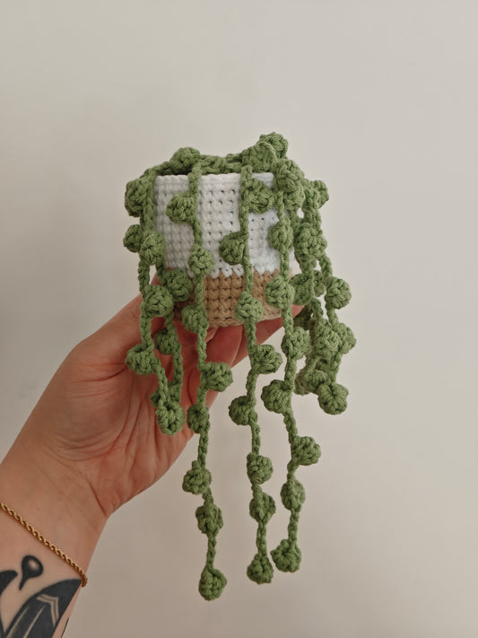 String of pearls in crocheted pot
