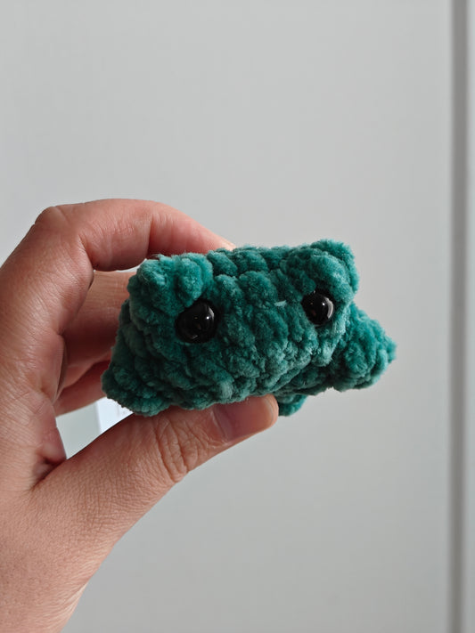 Pocket frog