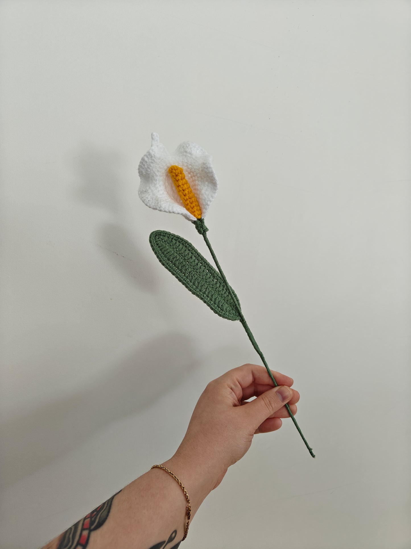 Peace Lily